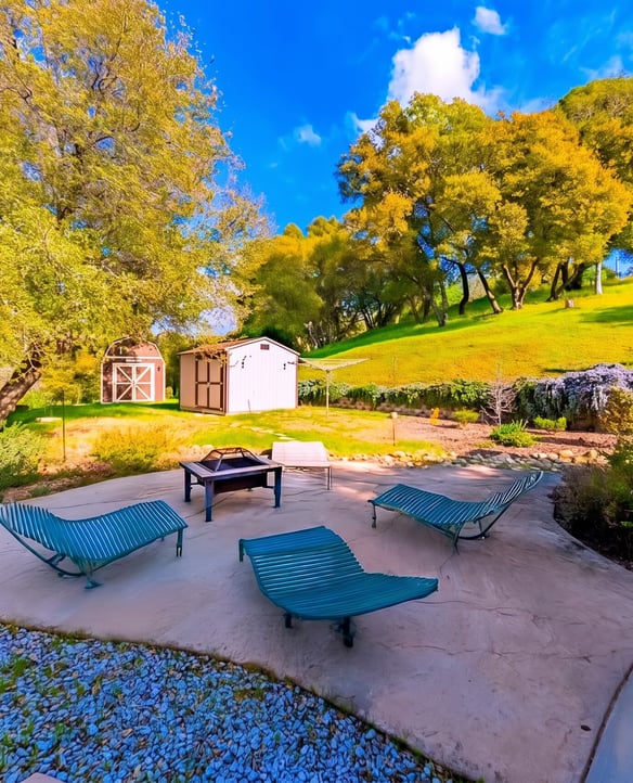 The Backyard